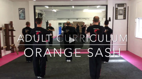 Orange Sash Tutorial - Meridian Kung Fu